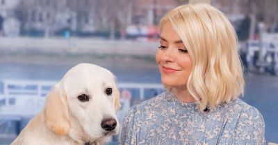 Holly Willoughby issues dog update after 'present' left for her
