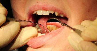 Dentists could be offered cash incentives to fill north Northumberland shortfall