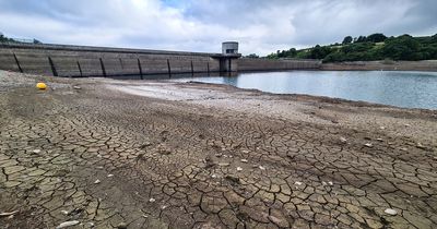 Welsh Water plans to start installing smart meters to help reduce demand