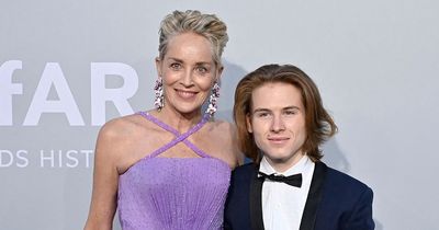 Sharon Stone says she lost custody of her son because of sex scenes in Basic Instinct
