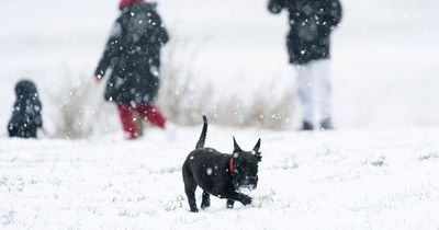 Cold weather alert extended as UK to be hit by freezing Arctic blast