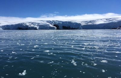Antarctic sea ice at record low