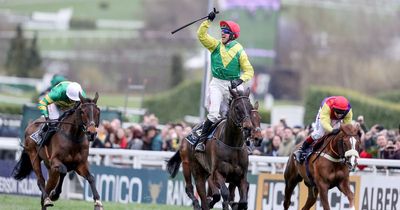 Cheltenham Festival 2023: Robbie Power on the "forgotten horse" in this year's Gold Cup