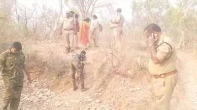 Forest dept extends search for mother Tiger to reunite abandoned cubs at Andhra Pradesh's Nandyal district