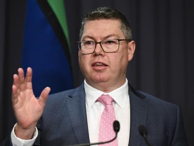 Pacific visa won't rob nations of skills: minister