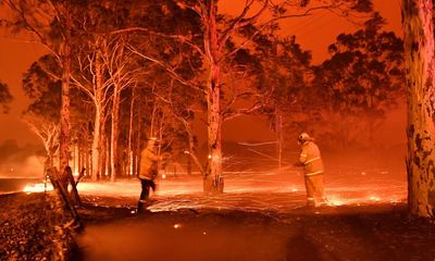 Smoke from Australian bushfires depleted ozone layer by up to 5% in 2020, study finds