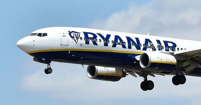 Man sank 12 pints of Guinness at funeral before headbutting Ryanair flight attendant