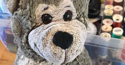 'Distraught' man launches desperate bid to find his teddy bear of 30 years