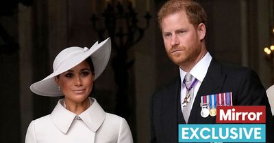 Prince Harry's kids' titles 'predictable' as he makes millions from royal link, says expert