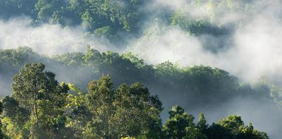 Rainforests pump water round the tropics – but the pulse of this heart is weakening
