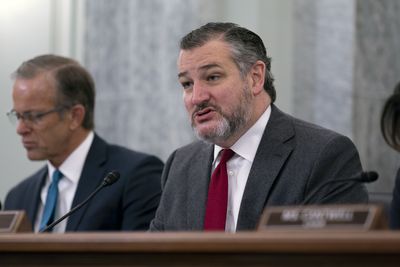 Ted Cruz floats acting FAA chief for permanent role