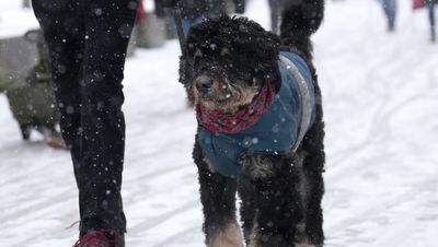 Snow storms to sweep much of England after coldest night of the year, while flooding warning issued in London