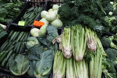 Eating leafy greens ‘associated with fewer brain proteins linked to Alzheimer’s’