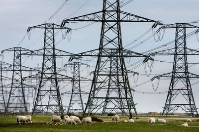 ‘Urgent changes’ needed to achieve decarbonised power system, report says