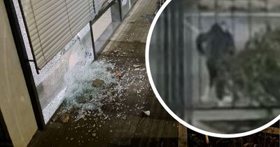 Man filmed on smash-and-grab booze raid at Kingswood Lidl