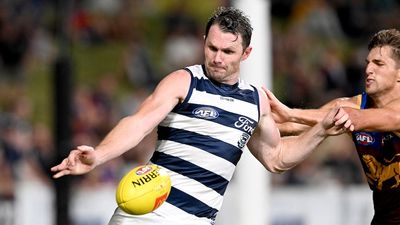 AFL captains agree on Brisbane Lions as the only lock-in for finals, but Geelong Cats are the most likely to make grand final