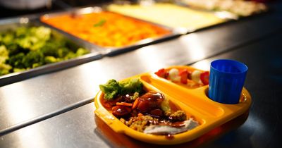 Call for universal free school meals across the UK