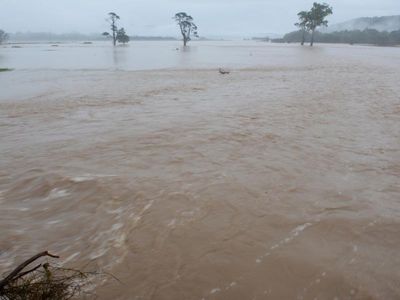 Evacuation advice 'ignored' in deadly Tasmanian floods