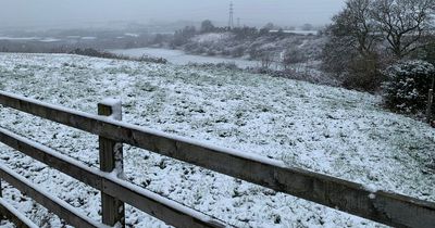 Nottinghamshire hour-by-hour weather forecast as 'heavy snow' expected