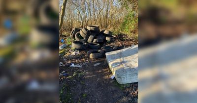 Mum on school run stopped in tracks by 'disgusting' fly tipping