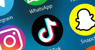 TikTok not working: Users struggle to load videos as the app currently experiences issues