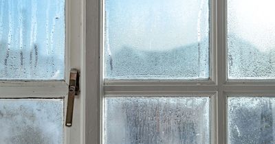 Property expert's quick £10 fix to draft-proof windows could save you a fortune