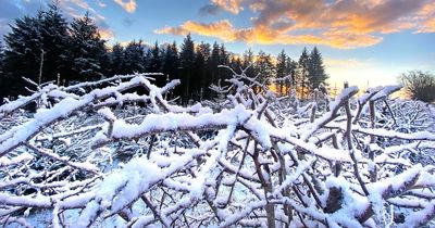 Northern Ireland weather: Amber warning for snow and ice issued by Met Office for some areas