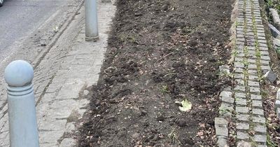 Midlothian Council 'sorry' after removing flowers volunteers spent two years planting