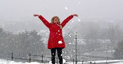 Are you happy it's snowing? Take our poll