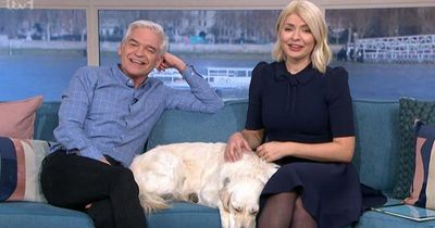 This Morning chaos as vet gets in trouble with 'grumpy judge' during live from Crufts