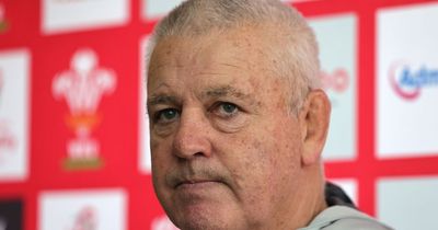 Warren Gatland Q&A: Why Louis Rees-Zammit has been left out, the warning to Liam Williams and more needed from Josh Adams