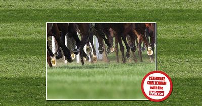 Free £2 shop bet with William Hill every day of the Cheltenham Festival - plus all the daily coverage you need