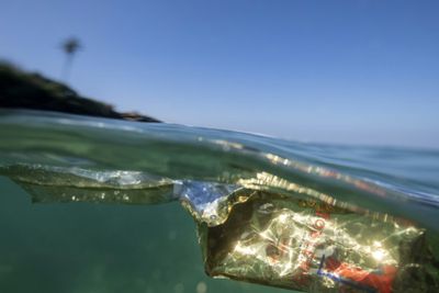 Rise in ocean plastic pollution 'unprecedented'