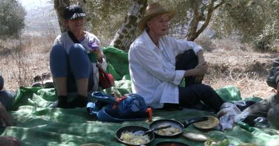 Charity volunteers recall West Bank attacks while picking olives in Palestine