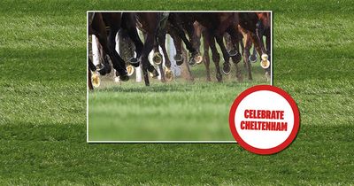 Pick a winner with your favourite newspaper this Cheltenham Festival
