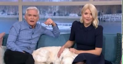 ITV This Morning star says he's 'going to be arrested' as he 'gets in trouble' while live on air