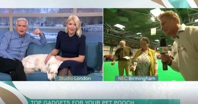 Crufts chaos on ITV This Morning as 'grumpy judge' and toothbrush ruin segment