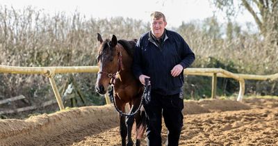 Cheltenham Festival: John 'Shark' Hanlon eyes up ultimate rags to riches story with €850 Hewick