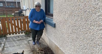 Angry Midlothian resident says workers 'trampled her flowers and left pipes in her garden'