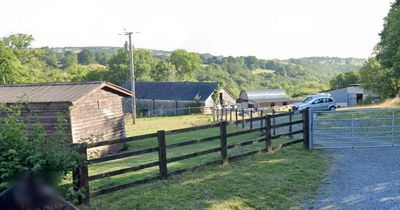 Horse and pony sanctuary forced to shut due to 'unforgiving' cost-of-living crisis