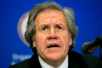 OAS boss traveled with female aide at center of ethics probe