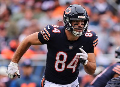 Bears 2023 free agency preview: Have we seen the last of Ryan Griffin?