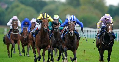 Newsboy’s horseracing tips for Friday's meetings, including Leicester Nap