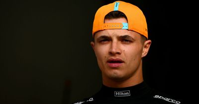 Lando Norris had his McLaren F1 concerns confirmed after three-month wait