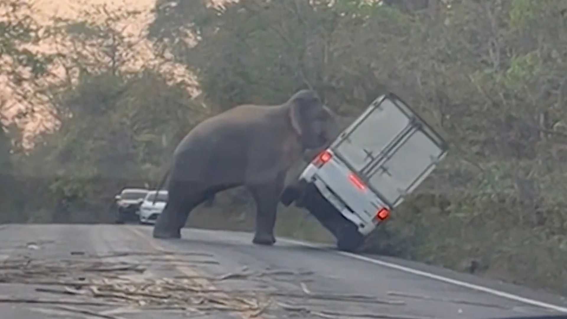 Watch An Elephant Slowly Flip A Pickup In Thailand