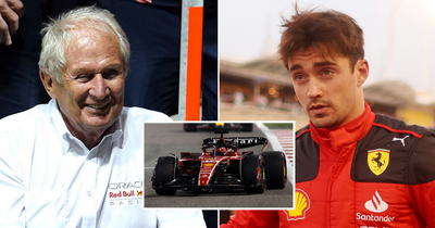 Red Bull chief Helmut Marko mocks Ferrari with "what is the point" jibe