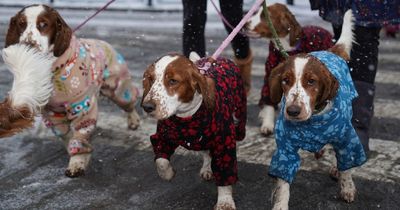 Up to 15 inches of snow to fall with 50mph gusts as Met Office warns of Arctic air mass