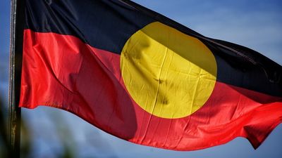 No, Indigenous Australians don't already have a Voice to Parliament