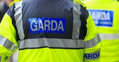 Man arrested after man found seriously injured outside house in Co Kildare