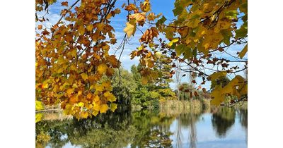 Happy 110th birthday to you, dear Canberra